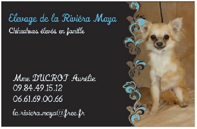 De La Riviéra Maya